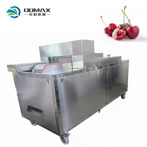 Machine intelligente <span class=keywords><strong>de</strong></span> séparation des tiges <span class=keywords><strong>de</strong></span> tomates cerises - Product Image 2