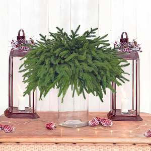 Ramas de Pino Norfolk Artificiales de 19 Pulgadas, Hojas de Pino Verdes Artificiales para Manualidades, Guirnaldas, Decoración del Hogar y Jardín - Product Image 3