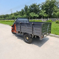 Tricycle électrique cargo - Moto utilitaire tout-terrain à 3 roues pour livraison longue distance, 2000W, pour adultes, sport