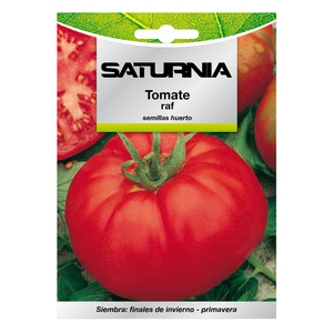 Semi di Pomodoro Raf (1,5 grammi) - Product Image 1