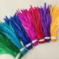 Plumes de queue de coq enfilées de 12-14 pouces, doublement cousues, directement de l'usine, pour coiffures de carnaval, samba, décoration de mariage et de fête DIY
