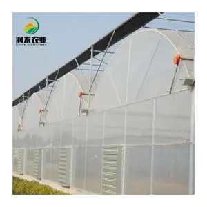 Plastic For Green House Covers Multi-Span Film Uv Protection Greenhouse With Nft Vertical Hydroponics System