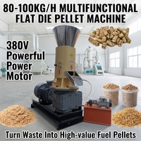 Machine à granulés multifonctionnelle à matrice plate avec moteur 380V, capacité 80-100kg/h, pour la fabrication de granulés de sciure et de coques de riz