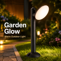 Lampe LED pour pelouse personnalisable CCT 10W, anti-corrosion salin, givrée, à angle réglable, pour hôtel, fontaine d'eau et piscine