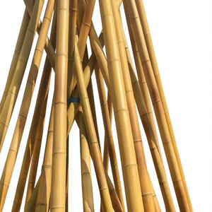 Yuzhu Carbonized Bamboo Poles White Insect Proof Anti Corrosion For Ceiling Outdoor Use - Product Image 5
