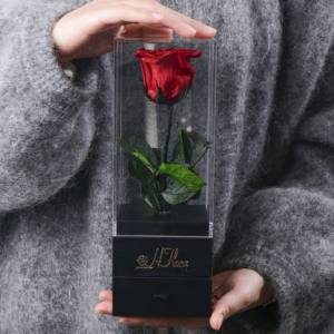 Hflora新着プリザーブドローズ茎付き永遠にバラ保存花アクリルボックスで最高のギフトプリザーブドローズ - Product Image 2