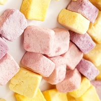 Groothandel Gevriesdroogd Gemengd Fruit Bevriezen Aardbei Mango Fruit Chips Gevriesdroogd Gemengd Fruit Yoghurtblokjes