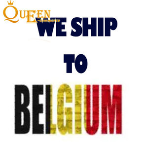 Ddp đại lý vận chuyển hàng hóa đại lý vận chuyển hàng hóa thể hiện để belgium chuyển tiếp lô hàng Dịch vụ hậu cần giao hàng giao hàng hợp nhất - Product Image 4