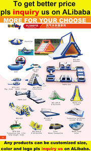 Obstacle de l'eau d'échelle d'escalade gonflable de parc aquatique de flotteur de parcours d'obstacles pour le parc aquatique - Product Image 5