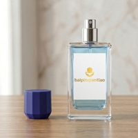 Flacon de parfum carré personnalisé pour fête et rendez-vous, 30 ml, 50 ml, 100 ml, avec bouchon en plastique