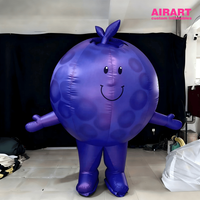 Costume de mascotte gonflable personnalisé en forme de myrtille, tenue gonflable de dessin animé de fruit portable pour défilés et événements publicitaires