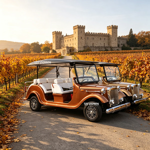 Navette électrique vintage pour le tourisme, 6 passagers, pare-brise fermé, voiture rétro pour les déplacements sur le campus - Product Image 1