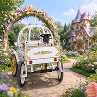 Chariot de princesse citrouille blanc Cendrillon pour mariage et visites touristiques – Modèles les plus vendus personnalisables.