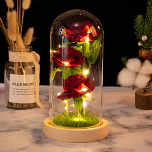Tres Rosas Preservadas en Cúpula de Cristal, Adornos para el Día de la Madre, Flor Simulada con Cubierta de Cristal, Luces LED, Rosa Eterna - Product Image 3
