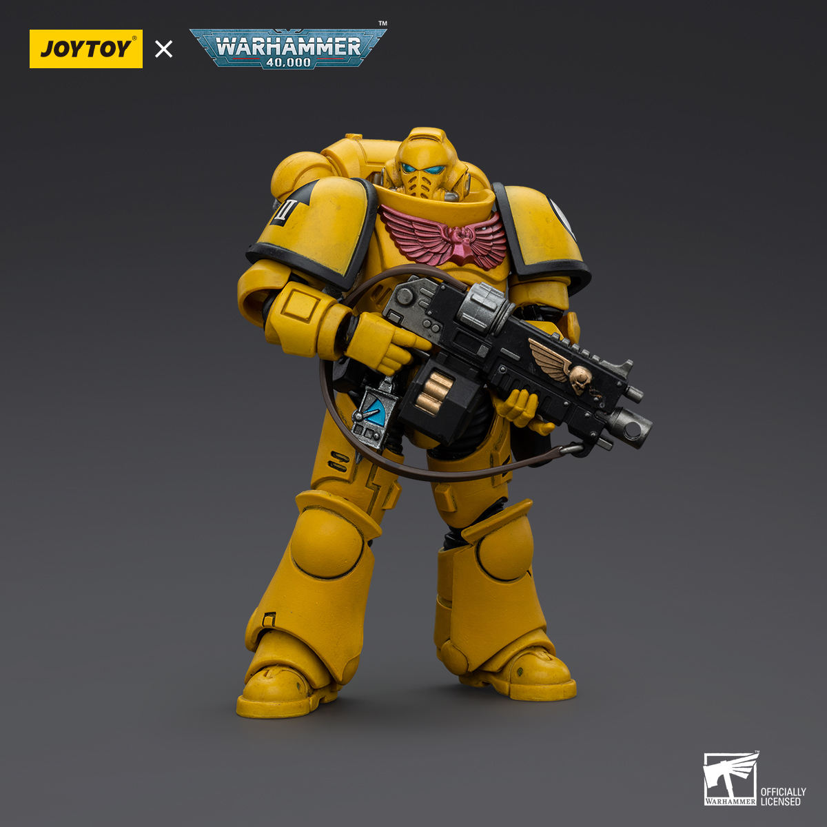 Le poing de l'empire Intercesseur