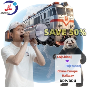 Services de logistique ferroviaire FCL/LCL+Express/Camionnage porte-à-porte DDP DAP les plus rapides/les moins chers vers l'Autriche avec dédouanement double - Product Image 1