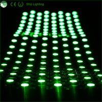 Adressable individuellement DC5V SK6812 16cm * 16cm 8cm * 32cm Smart Strip Lights 256LED Matrix Panel Flexible LED Pixel