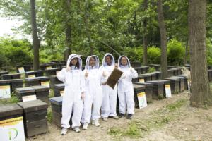 <span class=keywords><strong>Miel</strong></span> Sidr naturel <span class=keywords><strong>pur</strong></span> de qualité yéménite en gros de qualité supérieure dans une tasse de 80g pour cadeau à usage domestique - Product Image 3