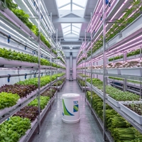 Grand conteneur d'expédition en acier inoxydable 304 avec contrôle automatique de la température et de l'humidité pour ferme de fraises commerciale verticale
