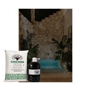 Revestimiento Arquitectónico Decorativo de Yeso Chukum Natural Premium para Piscinas con Espejo de Agua en Patios Interiores, para un Acabado Moderno - Product Image 1