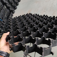 Grille de sol en plastique grille de carreaux de mosquée 10mm grille de pavé d'herbe artificielle
