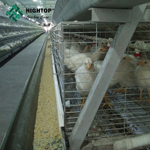La mejor calidad de un <span class=keywords><strong>marco</strong></span> de pollos de engorde <span class=keywords><strong>pollo</strong></span> aves de corral criador jaula para granja - Product Image 2