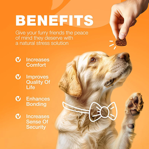 Prix usine 180 pièces immunisé mâche saisonnier soulagement des allergies chien friandises pour animaux <span class=keywords><strong>de</strong></span> compagnie démangeaisons supplément Anti allergie pour chiens en bonne santé - Product Image 3