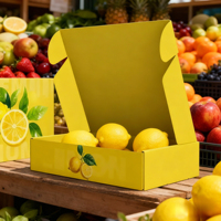 Caja de Regalo para Fruta de Limón, Diseño de Máquina Voladora, Cartón Corrugado Personalizado con Personalización Creativa