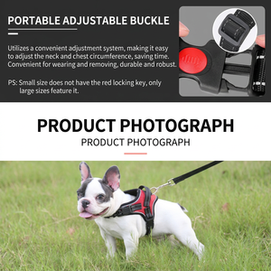 Arnés de malla ajustable para mascotas, chaleco con estampado de fresas para perros y gatos con correa rosa - Product Image 5