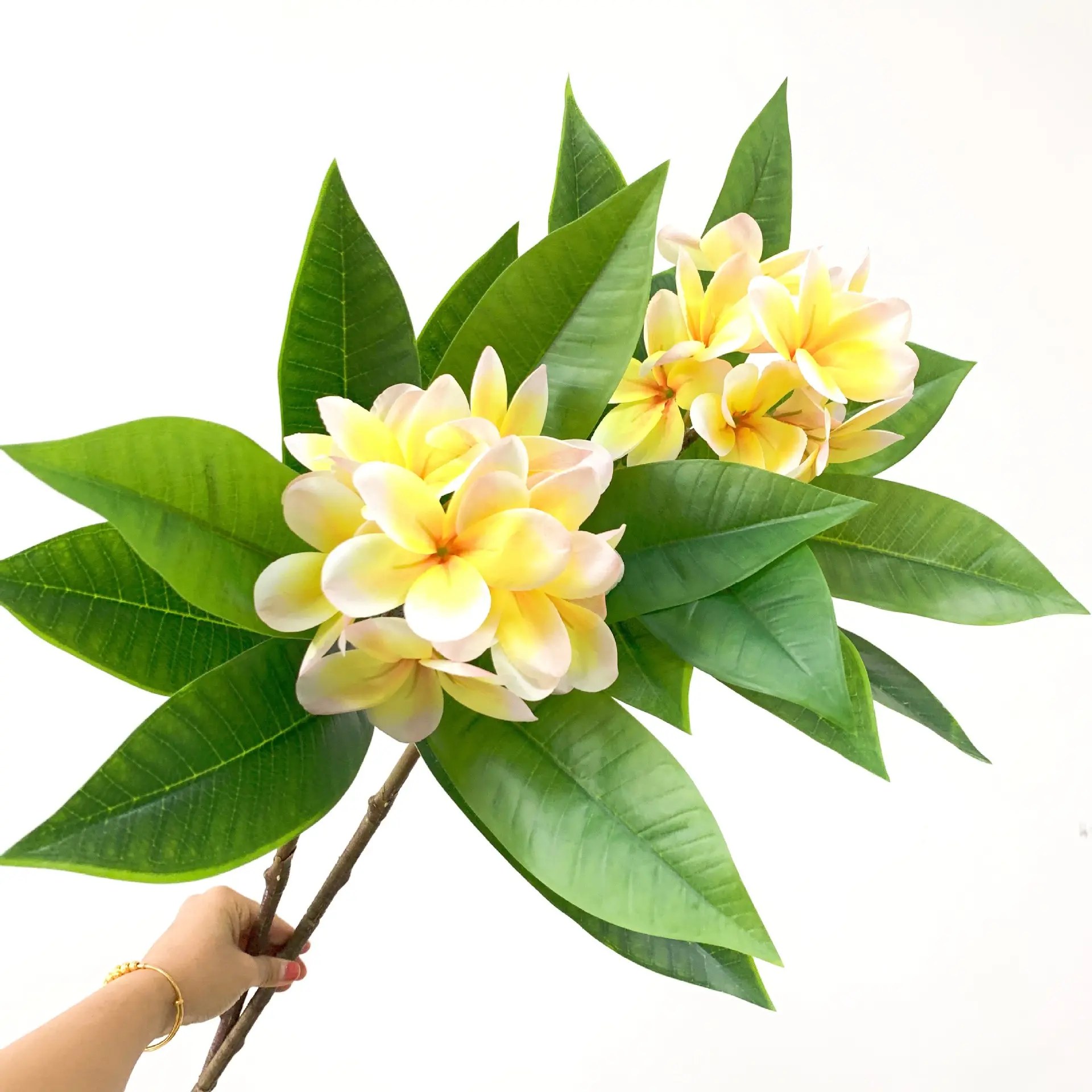 High Quality Plumeria Single Stem 3D Real Touch Plumeria Flower for Home Living Room