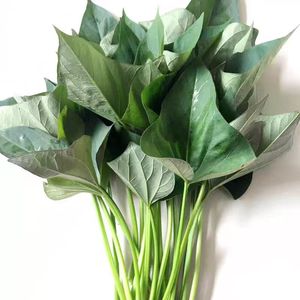 Hojas de pimienta de Jamaica frescas de primera calidad en forma de polvo vegetal crudo 1kg <span class=keywords><strong>verde</strong></span> Bencao Yutang para procesamiento de alimentos y condimentos - Product Image 4