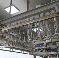 Machine d'abattage de moutons/chèvres halal/casher neuve, capacité de 50 à 300 unités/jour