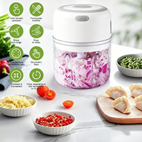 Hachoir à ail électrique en plastique 250 ml, mini hachoir à ail USB, hachoir à oignon, lames en acier inoxydable, robot culinaire portable