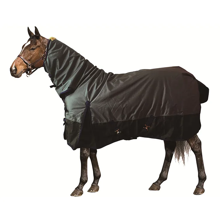 Couverture réglable de haute qualité pour cheval, en coton, tapis chaud d'hiver, 2 pièces, accessoires, produits d'équitation chauds