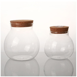 Pot en verre transparent exquis liège Micro paysage bouteille écologique Terrarium conteneur Aquarium veilleuse réservoir de poissons décor verre - Product Image 5