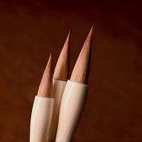Stylo pinceau moderne pour le bullet journaling et l'écriture manuscrite