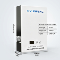Batterie solaire murale LiFePO4 51,2 V 100 Ah 5 kWh 10 kWh avec communication CAN pour appareils électroménagers, installation facile, vente en gros