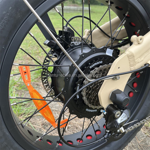 Vélo électrique populaire 2026, vélo à pneus gras, batterie au lithium 1200w, pneus gras de 20*4 pouces, vélo électrique pour la chasse et <span class=keywords><strong>les</strong></span> hommes grands - Product Image 5