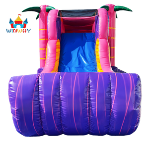 Toboggan aquatique gonflable tropical commercial, rose et violet, aire de jeux aquatique intérieure et extérieure pour les fêtes et les locations d'événements pour enfants - Product Image 2