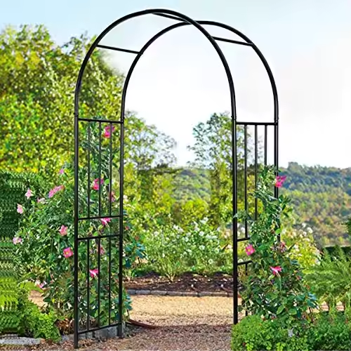 Metal Garden Arches Decorate the Garden