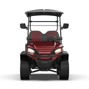 Carrello da golf elettrico da 2 persone con buggy da strada con batteria al litio