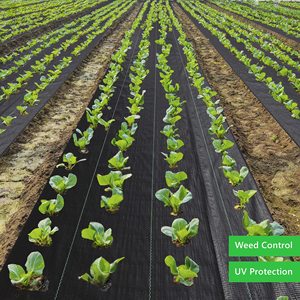 Film de paillage agricole perforé en PE noir avec service de découpe 70-250 g/m² pour le contrôle des mauvaises herbes dans les jardins et les légumes - Product Image 5