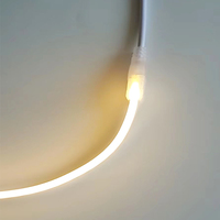 Câble d'alimentation sans soudure pour bande LED néon 6x12mm, connecteur rapide 2 broches, pas de soudure requise, connexion Plug and Play