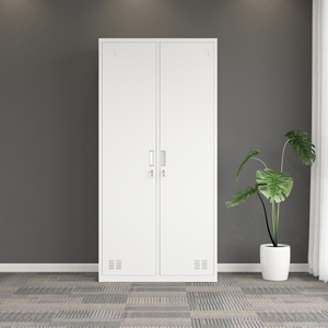 Gran oferta de armario de acero de 2 puertas, armario de hierro, casilleros de almacenamiento de hierro y Metal, armario para personal, gimnasio, escuela, oficina, armario - Product Image 6