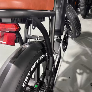 महिलाओं के टॉर्क सेंसर वसा टायर के माध्यम से इलेक्ट्रिक हाइब्रिड गंदगी बाइक इलेक्ट्रिक हाइब्रिड गंदगी बाइक - Product Image 6