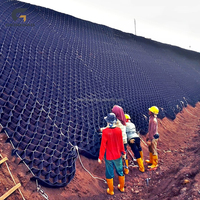 Géocellules de 100 mm de hauteur pour le contrôle de l'érosion, le renforcement du sol, les allées, les routes, les pavés, l'aménagement paysager et les travaux de génie civil