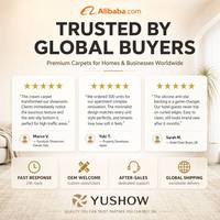 Tapis d'entrée en polypropylène doux et moelleux, antidérapant, à poils moyens, pour chambre, salon et décoration intérieure