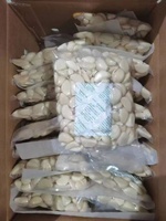 China Witte Gepelde Knoflook Verse Nieuwe Oogst Topkwaliteit Exportkwaliteit Groothandelsprijs Chinese Knoflookteentjes