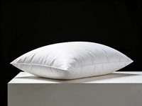 Oreiller de luxe personnalisé avec logo, 95% duvet d'oie, housse en coton blanc, régulateur de température, soutien doux, pour dormeurs sur le côté/dos