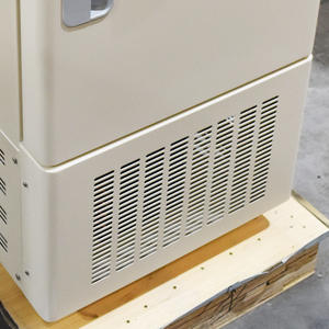 BIOBASE -86 ° Congélateur C BDF-86V28 28L -40~-86 ℃   Refroidissement direct <span class=keywords><strong>avec</strong></span> <span class=keywords><strong>alarme</strong></span> de panne de capteur -86 ° Congélateur pour laboratoire - Product Image 5